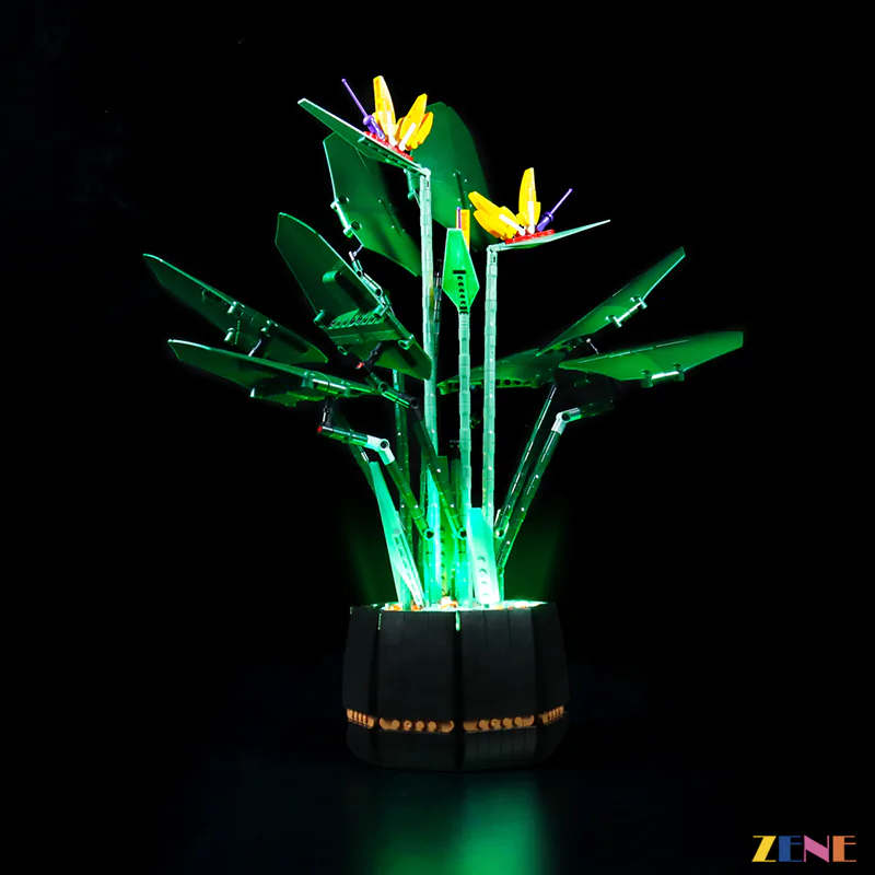 Light Kit for Bird of Paradise #10289 - Image 4