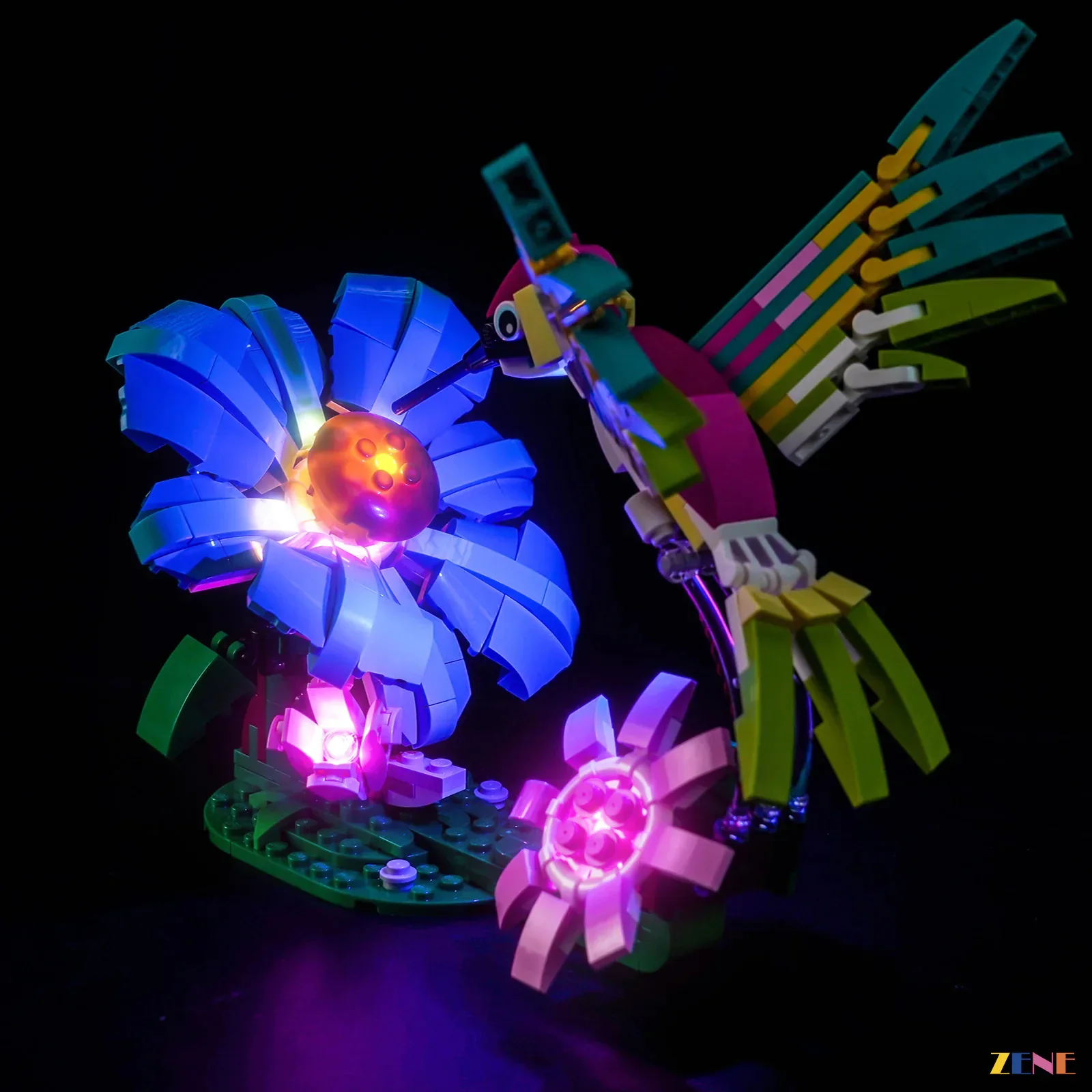 Light Kit for Wild Animals: Colorful Hummingbird #31384 - Image 4