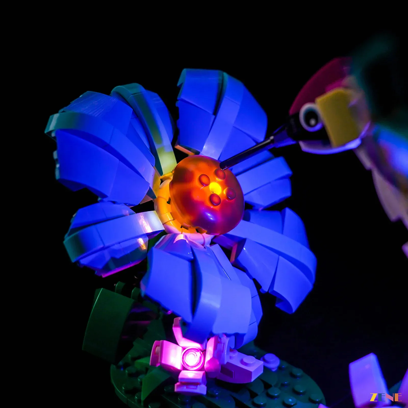 Light Kit for Wild Animals: Colorful Hummingbird #31384 - Image 6