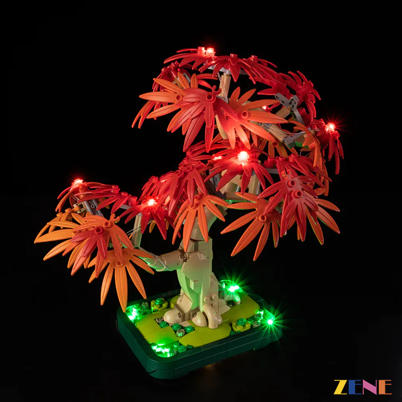 Light Kit for Japanese Red Maple Bonsai Tree #10348